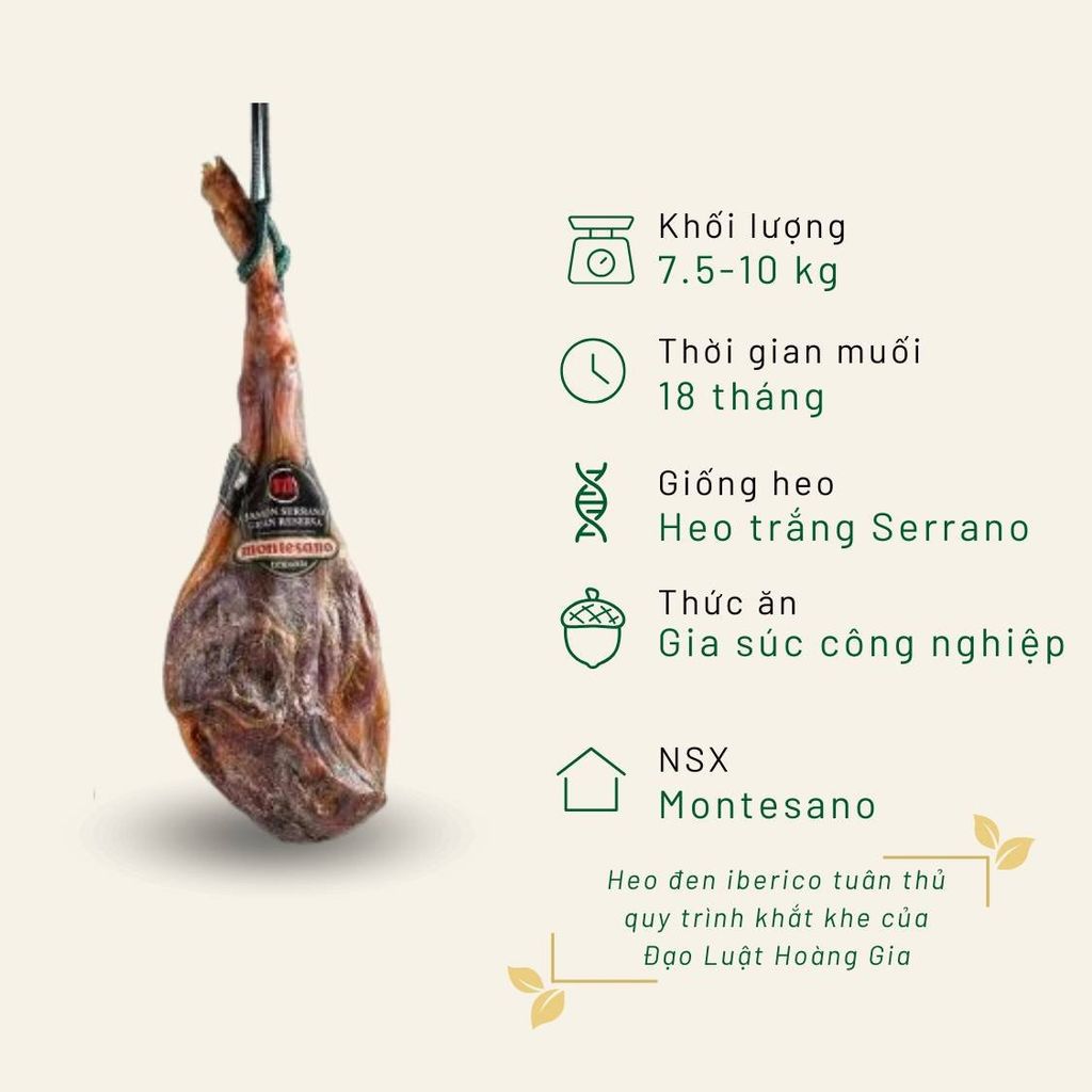 Mơ Thấy Heo Trắng - Giải Mã Ý Nghĩa Và Con Số May Mắn