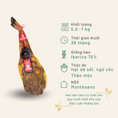 Đùi trước Iberico Bellota 75% có xương nhãn đỏ muối 36 tháng