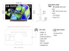 Smart Tivi OLED LG 4K 55 inch 55C3PSA