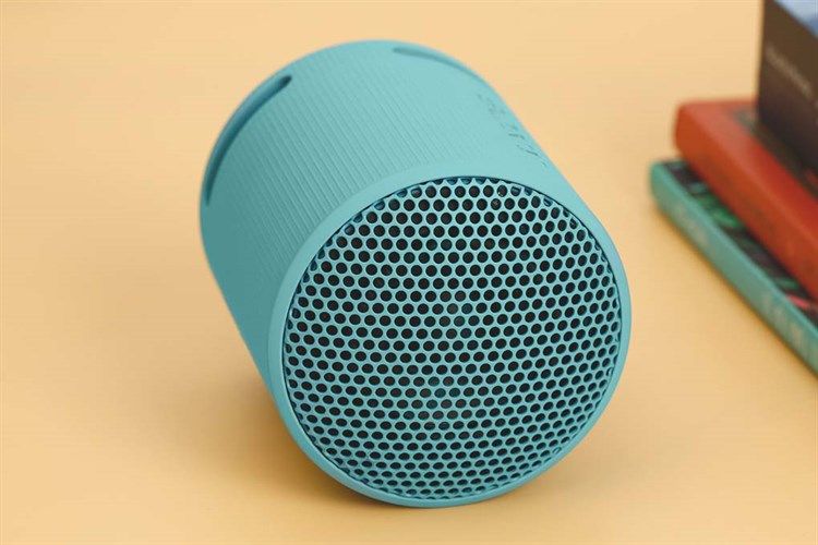 Loa Bluetooth Sony SRS-XB100