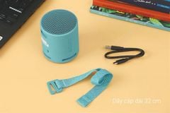 Loa Bluetooth Sony SRS-XB100