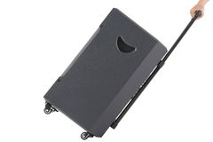 Loa kéo karaoke Dalton TS-12G450X 500W