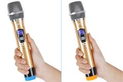 Loa kéo karaoke Dalton TS-12G450X 500W