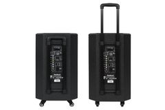 Loa kéo karaoke Dalton TS-12G350N 350W