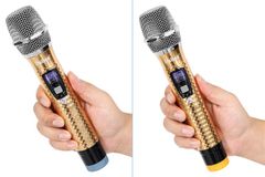 Loa kéo karaoke Dalton TS-12G350N 350W