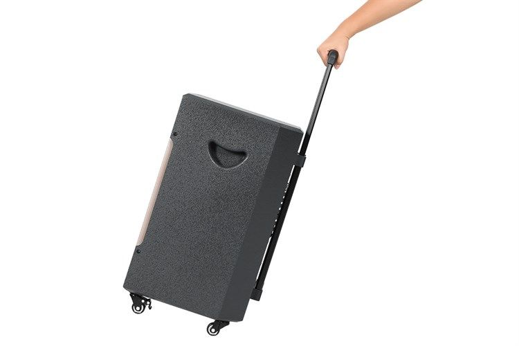 Loa kéo karaoke Dalton TS-12G350N 350W