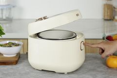 Nồi cơm điện tử Bear 1 lít DFB-C30D1