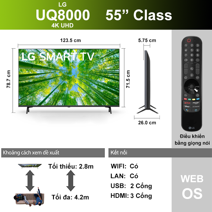 Smart Tivi LG 4K 55 inch 55UQ8000PSC