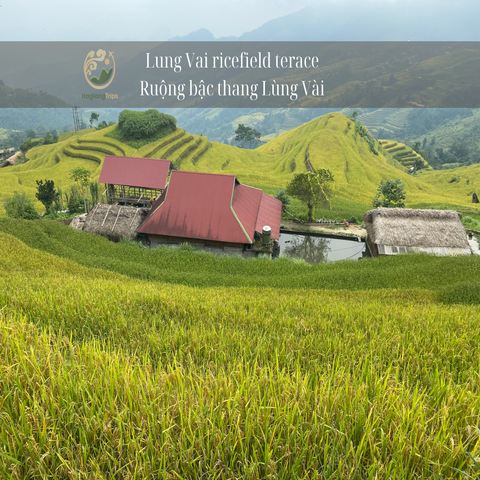 1 day motorbike tour to visit villages around Ha Giang city — photo 3