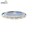 ĐÈN LED DÁN DC12V (LDDC Series)