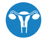  Bộ Khăn Nội Soi Niệu Quản 