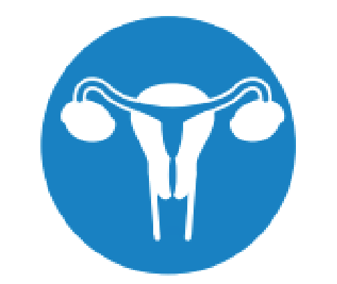  Bộ Khăn Nội Soi Niệu Quản 