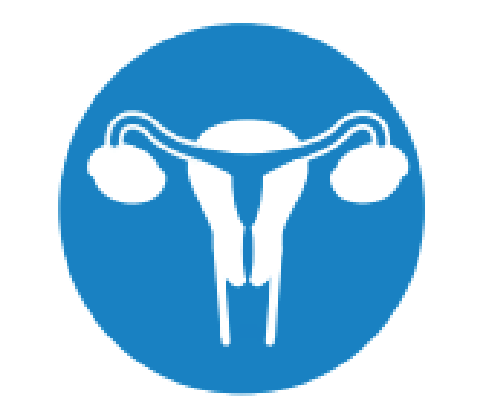  Bộ Khăn Cắt Đối Nội Soi Tuyến Tiền Liệt 