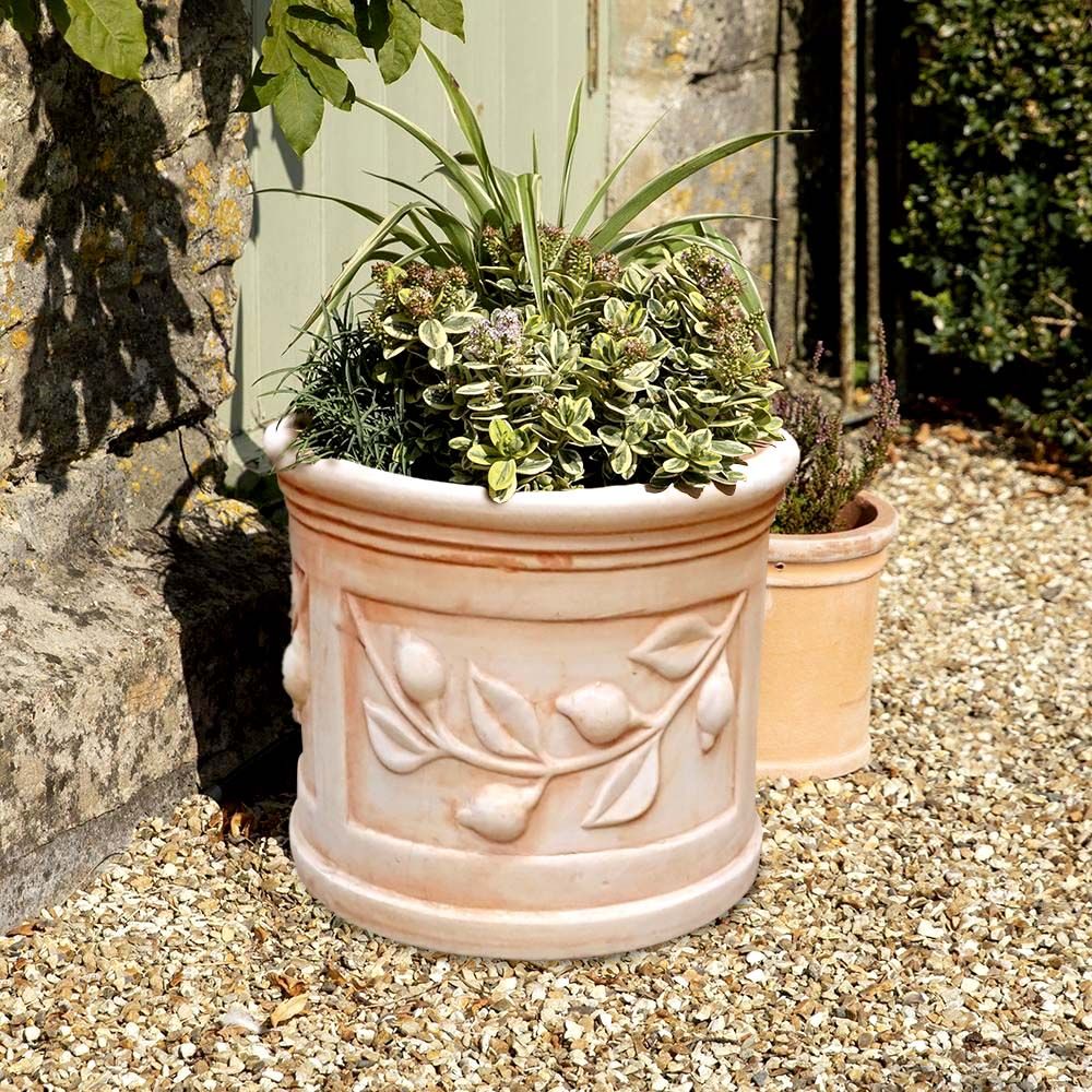 TERRACOTTA