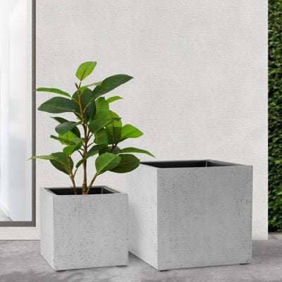 CEMENT