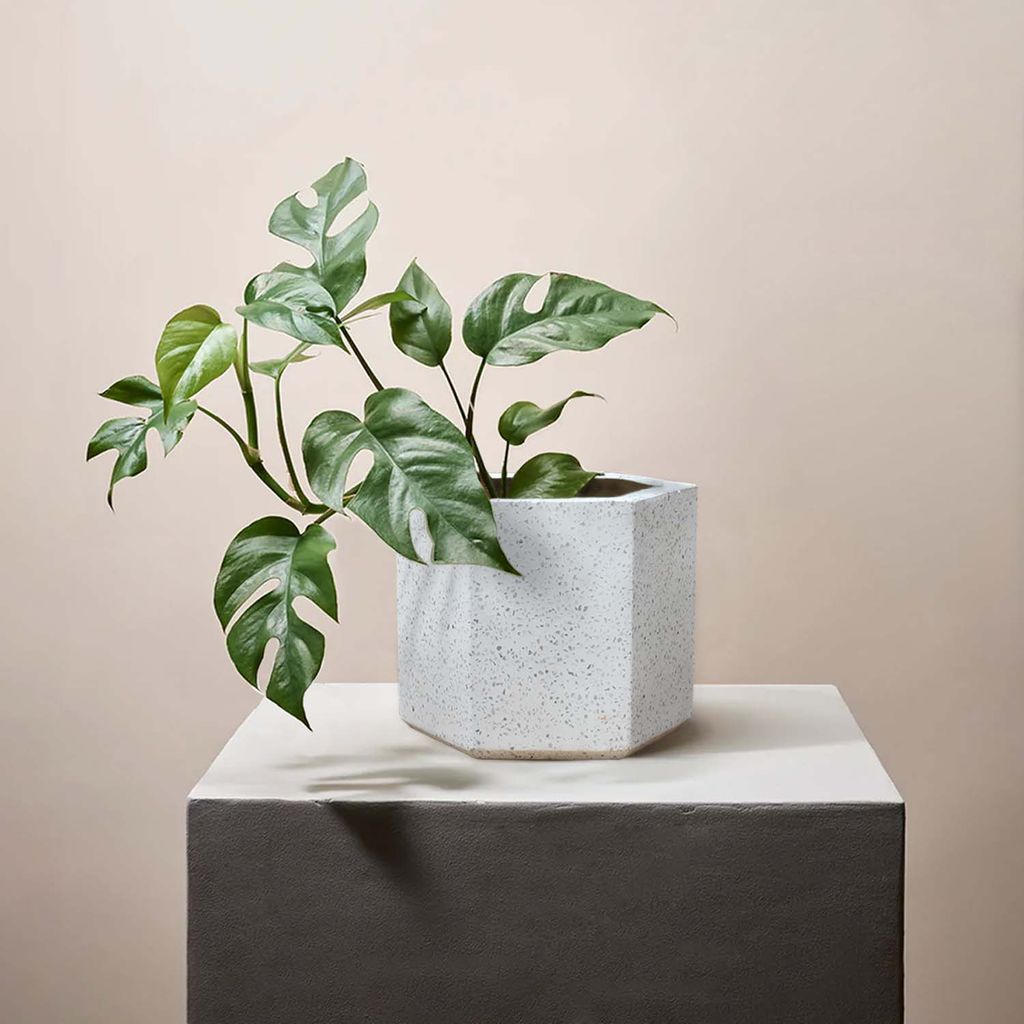 TERRAZZO