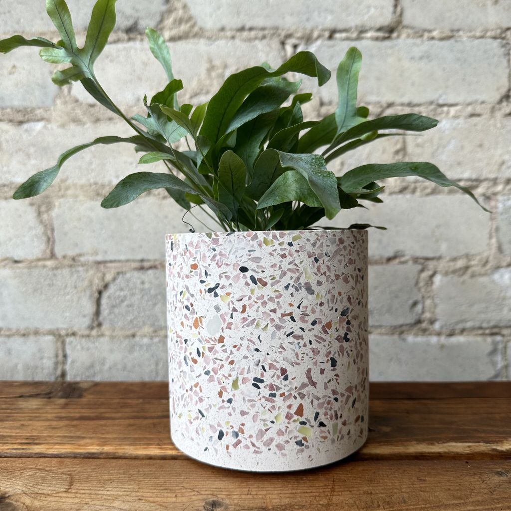 TERRAZZO POTS
