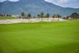  Anara Binh Tien Golf 