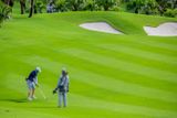  Long Bien Golf Course 