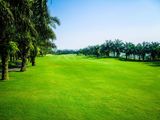  Long Thanh Golf Club 