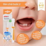 Bàn chải Pigeon Step 2 từ 8-12 tháng