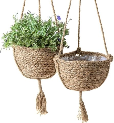 Pot