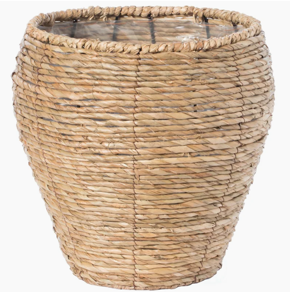  POT_NCV014 