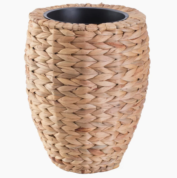  POT_NCV015 