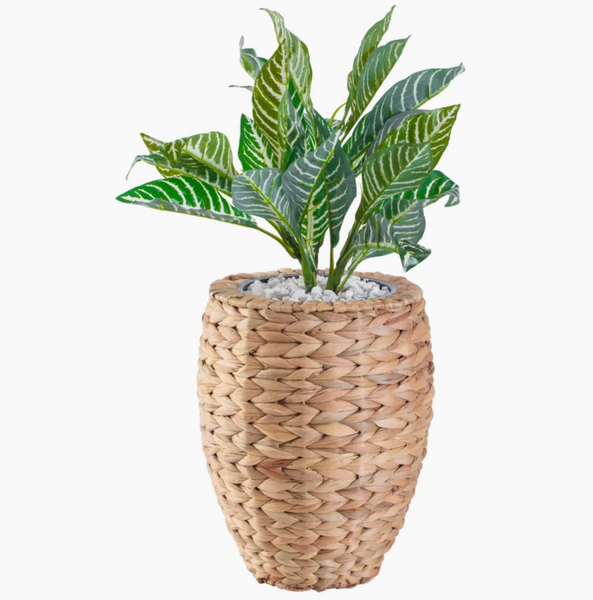  POT_NCV015 