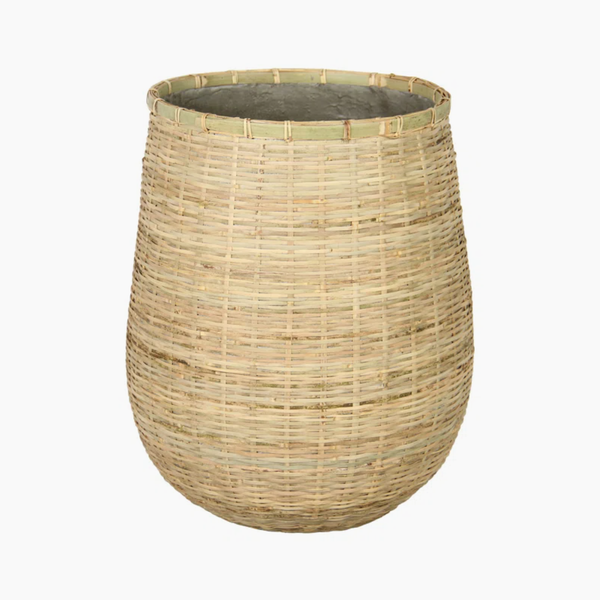  POT_NCV017 