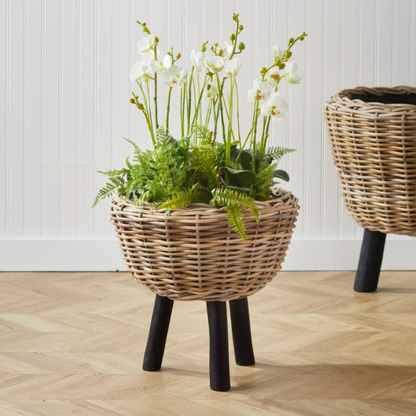  POT_NCV022 