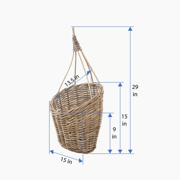  POT_NCV023 