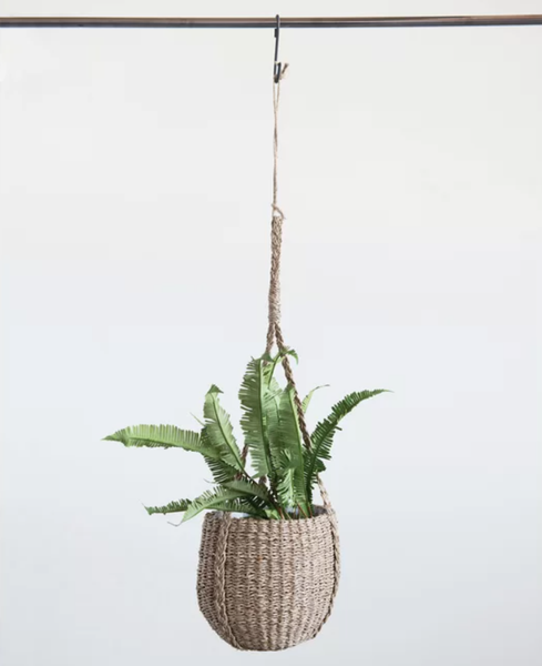  POT_NCV024 