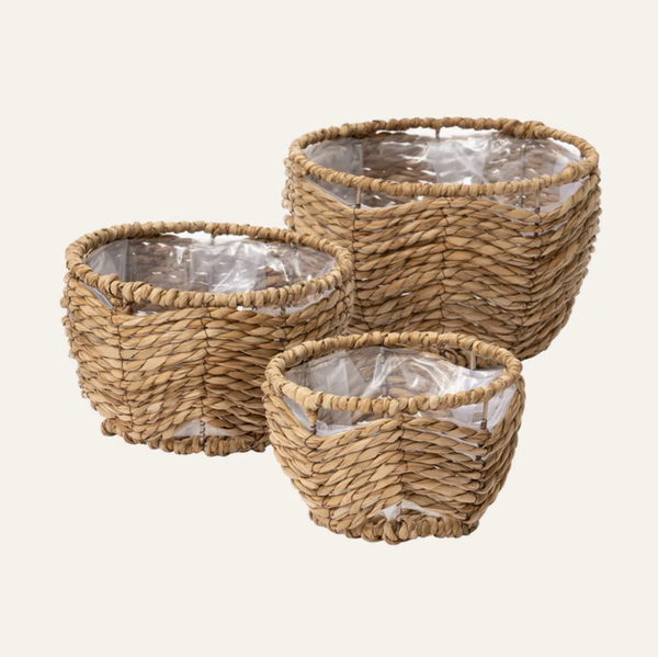  POT_NCV026 