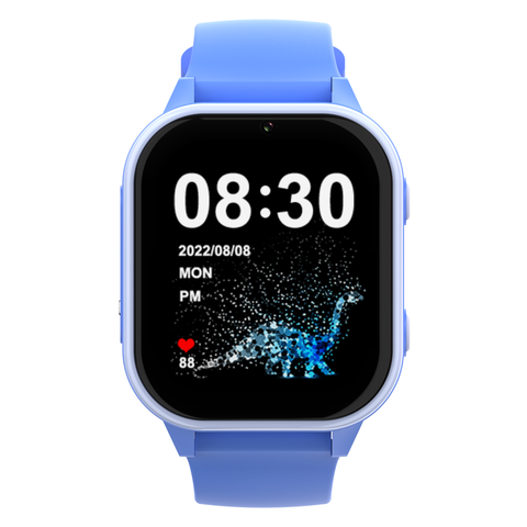 Wonlex KT19