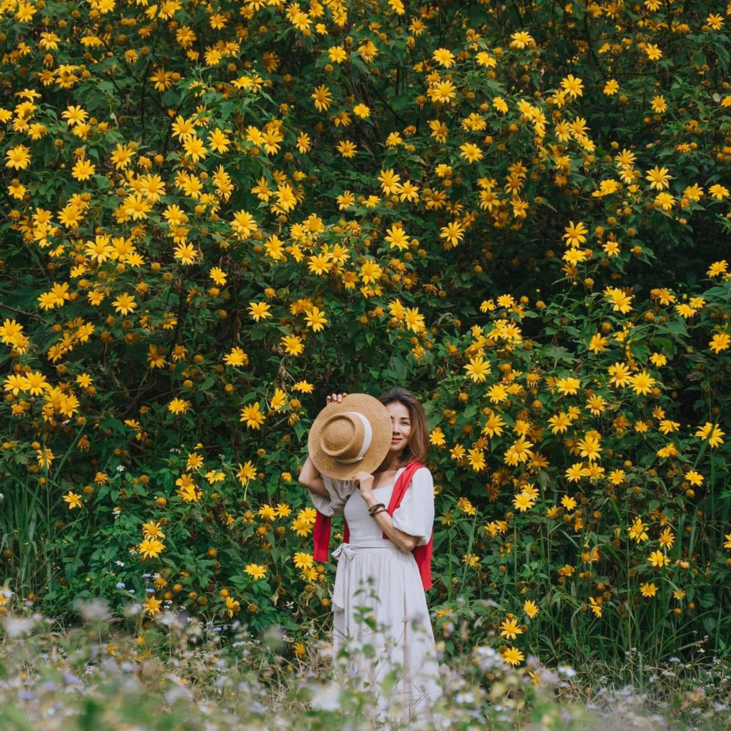  Mùa Hoa Dã Quỳ Tại Ba Vì - Trải Nghiệm Sắc Thu Tại Ten Homestay & Villa 