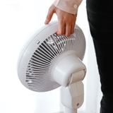  Quạt đối lưu không khí Iris Ohyama STF-DC18T 