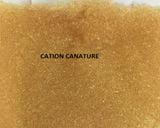  HẠT NHỰA CATION CANATURE (HẠT TRAO ĐỔI ION) 