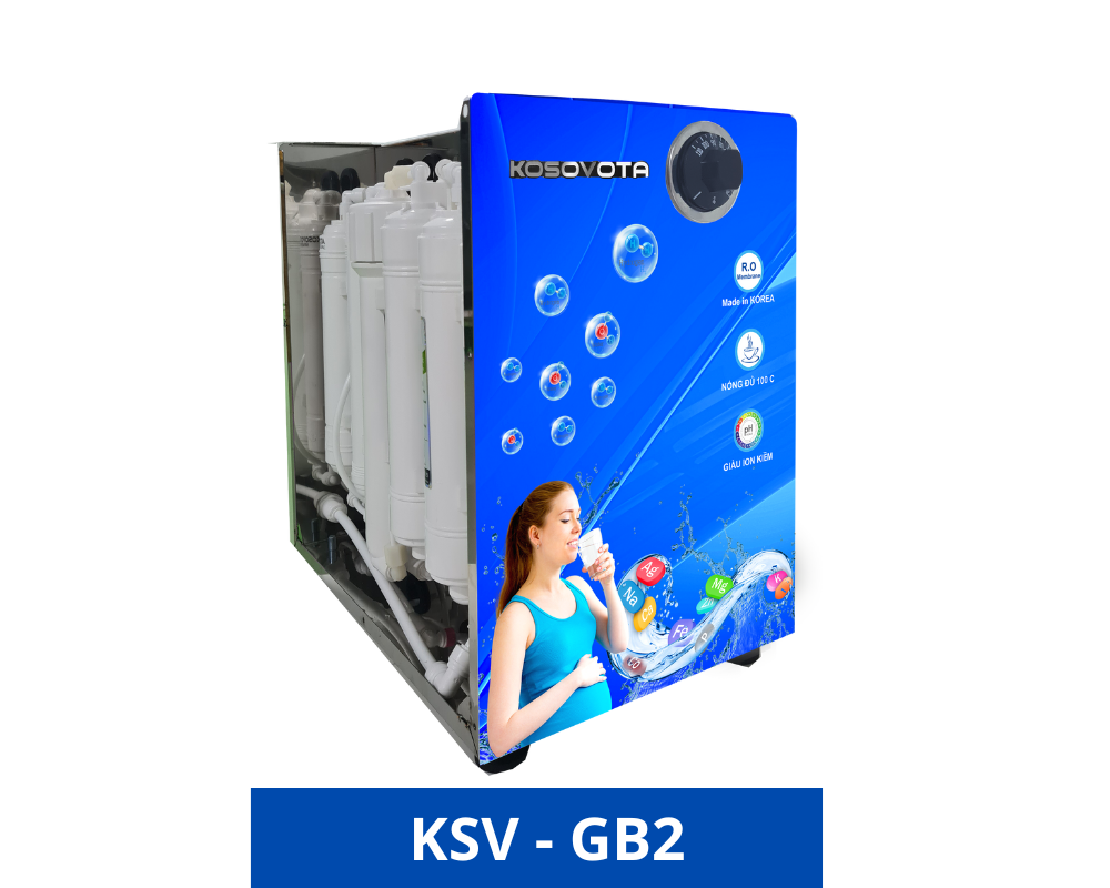  科索沃塔 KSV-GB2 热水厂配有 RO 