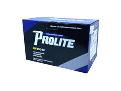 Bình ắc quy Ô tô NGOẠI NHẬP - Prolite DIN59042 12V - 90Ah