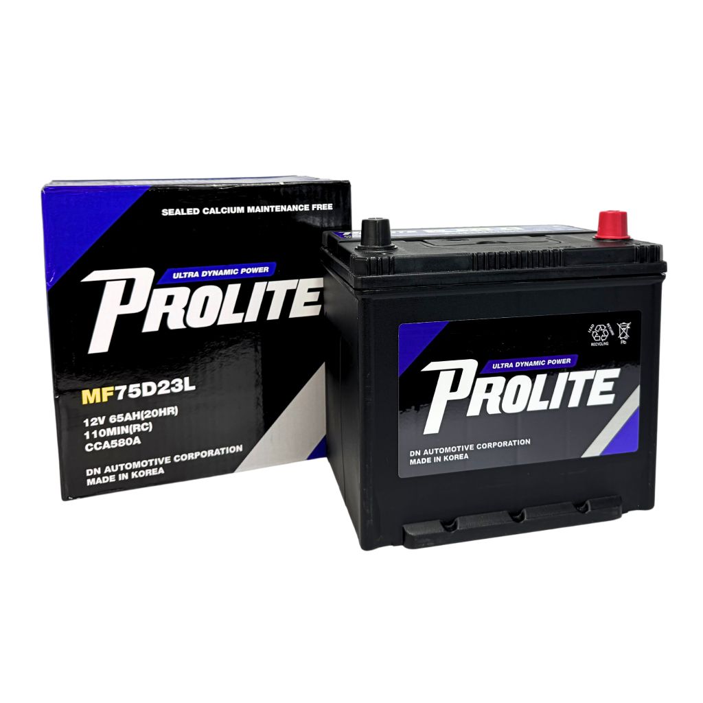 Bình ắc quy Ô tô NGOẠI NHẬP - Prolite 75D23L  12V - 65Ah