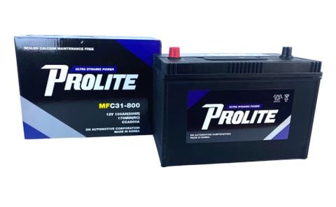 Bình ắc quy Ô tô NGOẠI NHẬP - Prolite C31-800 12V - 100AH
