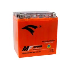 Bình ắc quy xe moto PKL EAGLE EG-YB30L-BS(GEL)-12V-30Ah (HÀNG NGOẠI NHẬP)