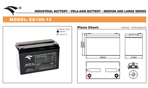 Bình ắc quy cho bộ lưu điện UPS EAGLE EG100-12 12V-100AH (HÀNG NGOẠI NHẬP)