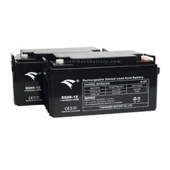 Bình ắc quy cho bộ lưu điện UPS EAGLE EG65-12 12V-65AH (HÀNG NGOẠI NHẬP)