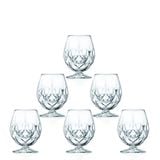  Bộ 6 ly pha lê Ý RCR Alkemist 532ml 