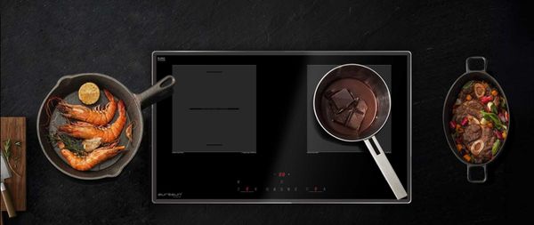 Bếp từ Eurosun EU-T256Pro 2 vùng nấu 9 mức công suất kính Platinum