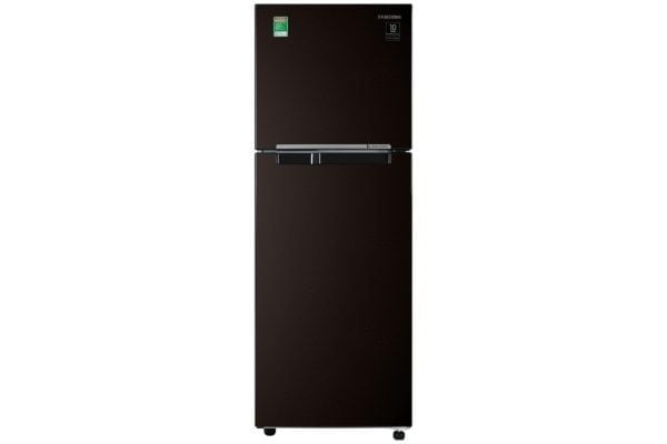 Tủ lạnh Samsung Inverter 236 lít RT22M4032BY