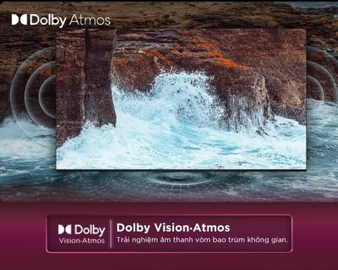 Google Tivi TCL 4K 43 Inch 43P79B