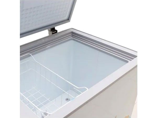 Tủ đông 1 ngăn 2 cánh mở 280 lít Sanaky VH-2899A1
